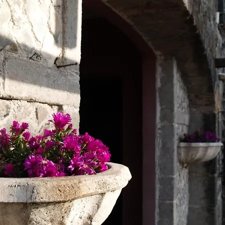 La Corte Di Nonno * Frascati